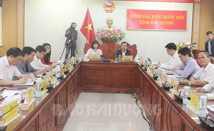 Đại biểu Nguyễn Thị Việt Nga (Hải Dương) chất vấn về án lệ 